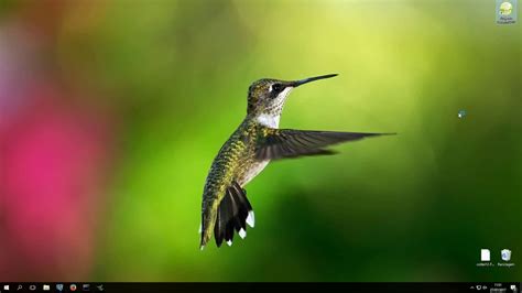 projecto colibri